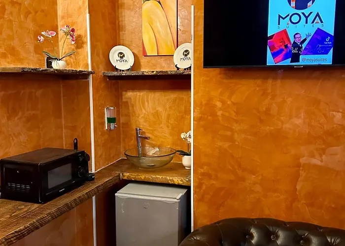 Ξενοδοχείο ημιδιαμονής Moya 1 - In Ρώμη